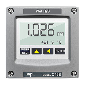 Wet H2S Gas Detector | Continuous H2S Monitoring in Wet Conditions