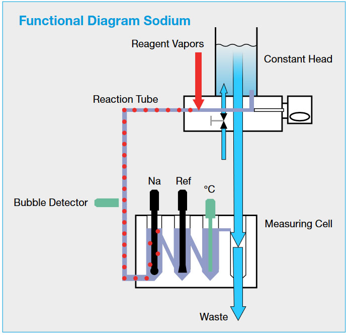 Functional Sodium Diagram